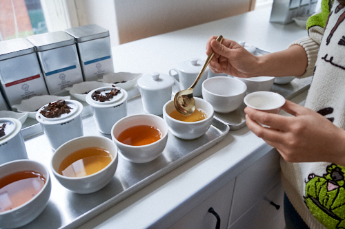 Tee entdecken: Verkostung an der Berlin Tea Academy