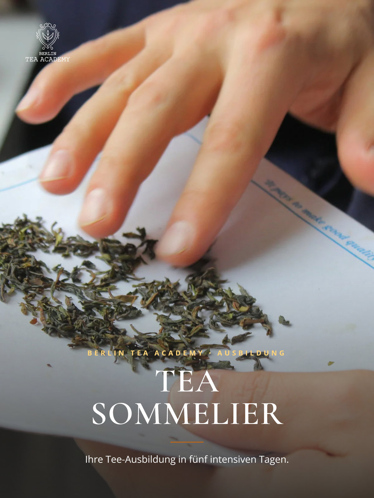 Tea Sommelier