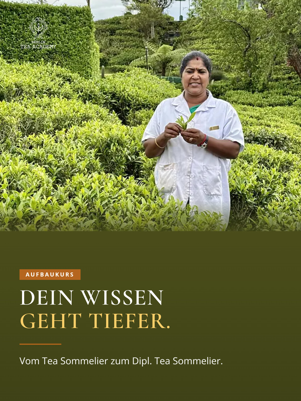 Aufbaukurs Dipl. Tea Sommelier