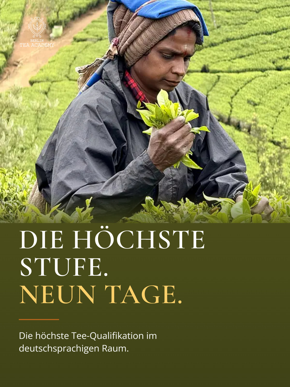 Dipl. Tea Sommelier