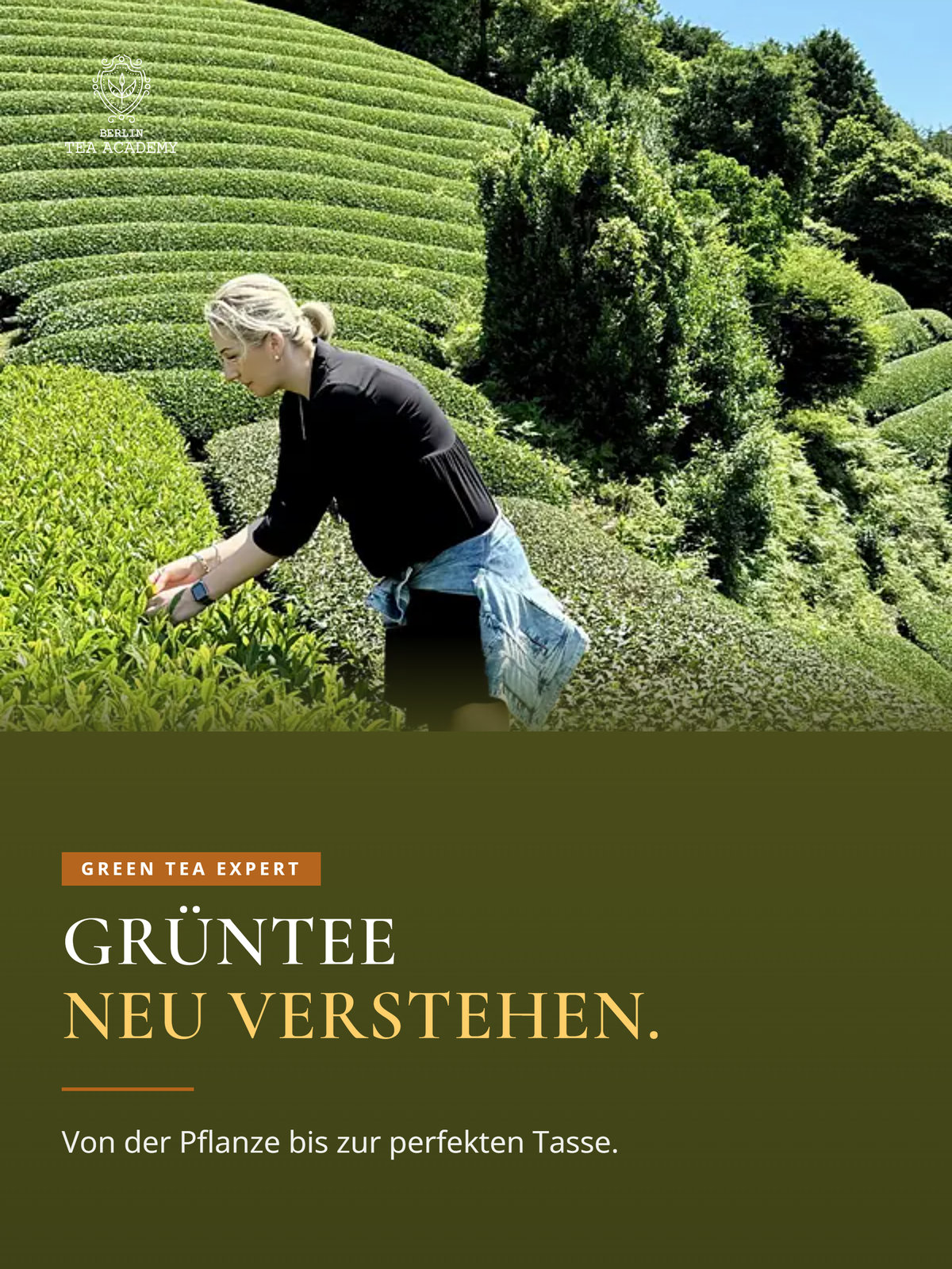 Green Tea Expert