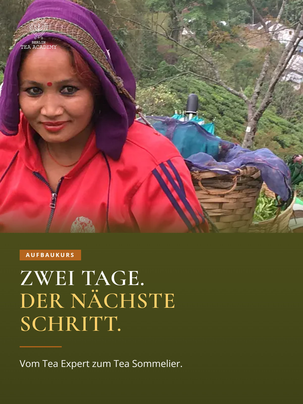 Aufbaumodul Tea Sommelier