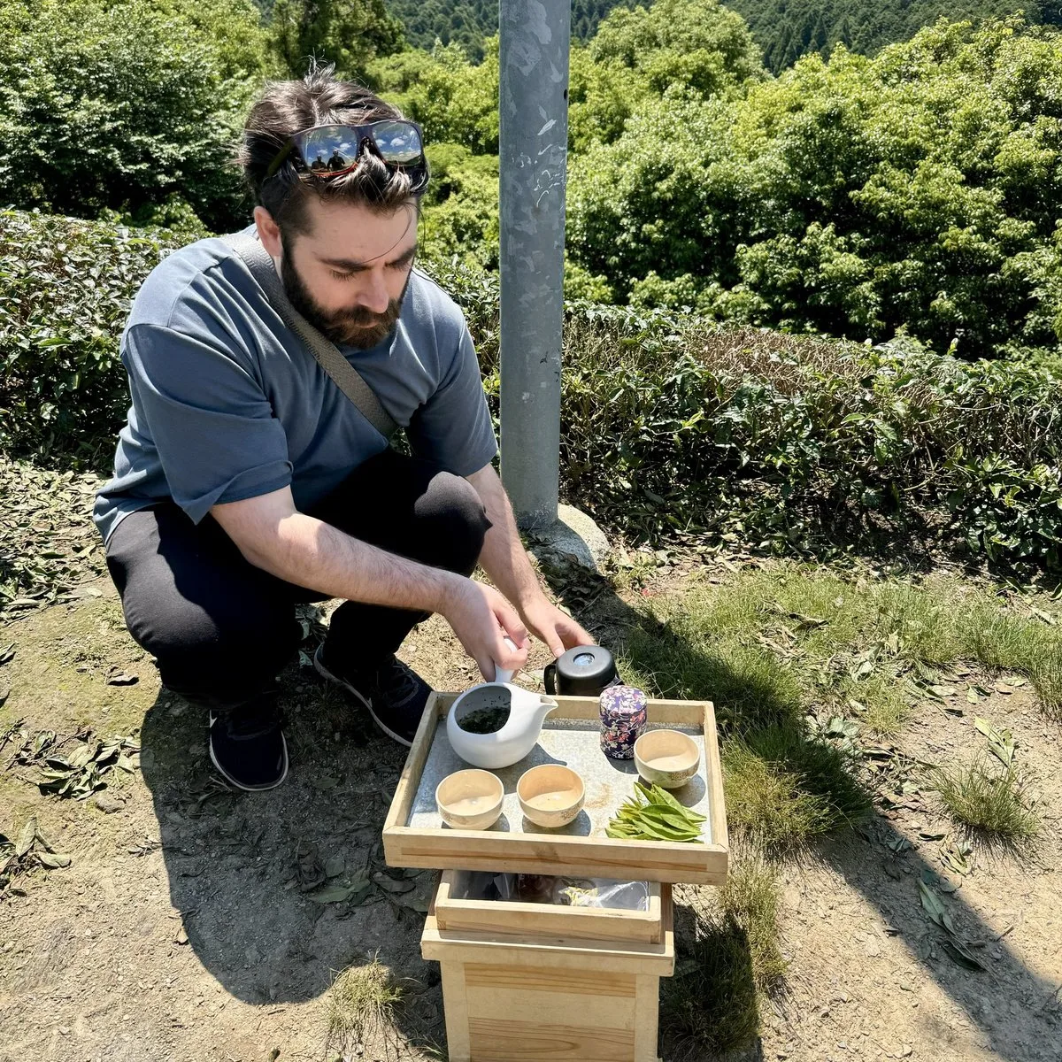 Teeanbau in Japan