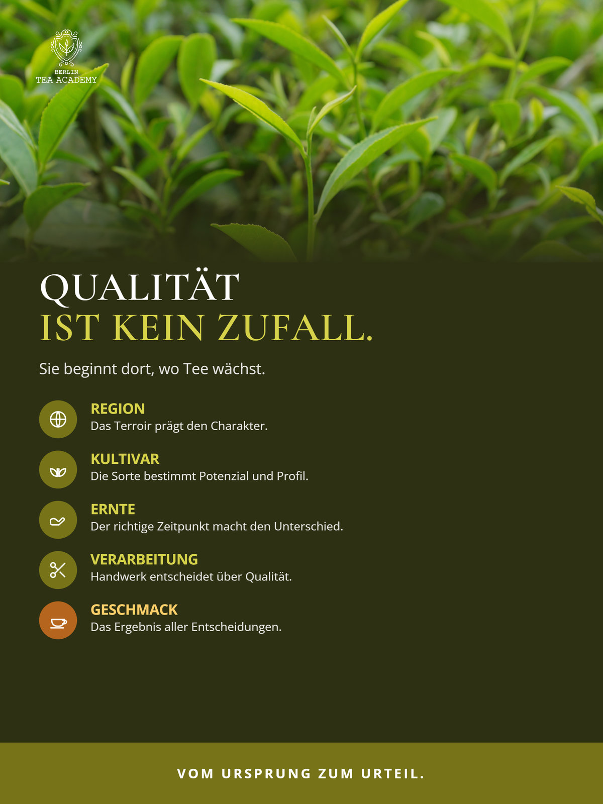 Green Tea Pro