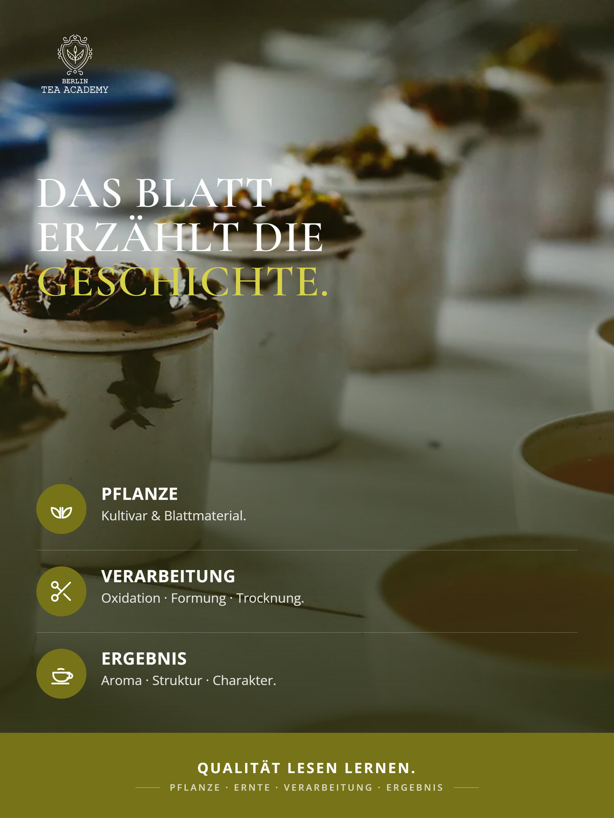 Aufbaukurs Dipl. Tea Sommelier
